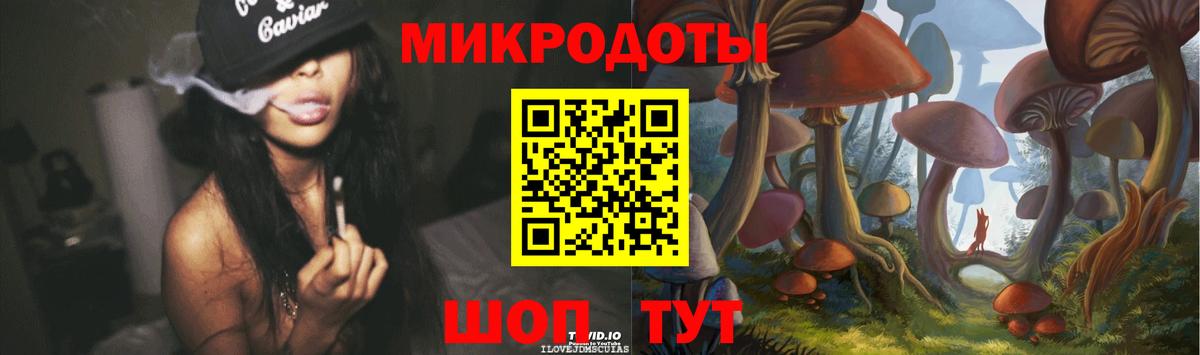 Псилоцибиновые грибы Psilocybine cubensis Лысьва